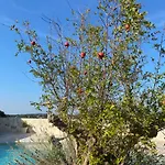Trulli Clematis With Pool Gasthof Selva Di Fasano