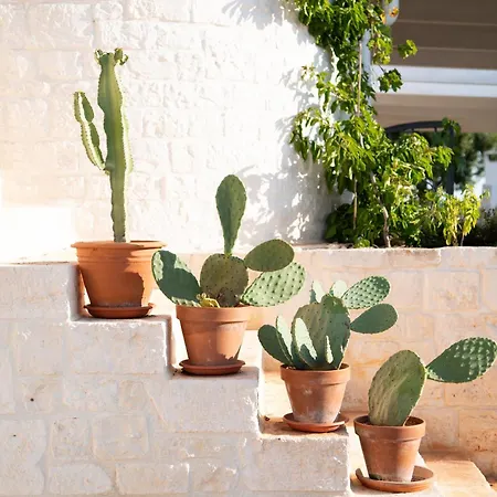 Trulli Clematis With Pool ゲストハウス セルヴァ・ディ・ファザーノ