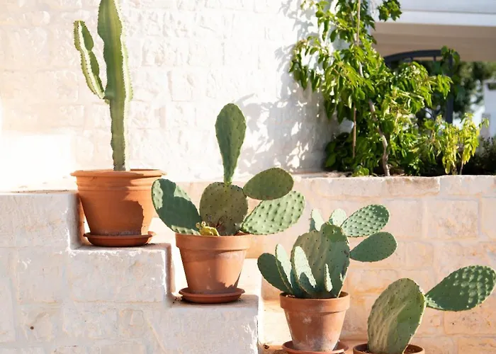 Trulli Clematis With Pool Vendégház Selva di Fasano